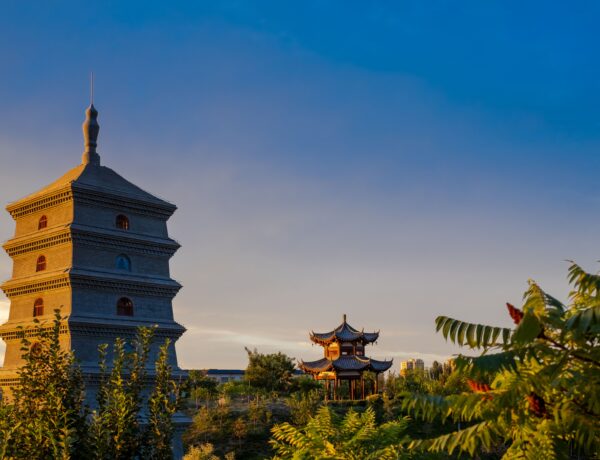 Grande Pagode do Ganso Selvagem - Foto de Tao Wang no Pexels